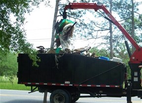 trash collection